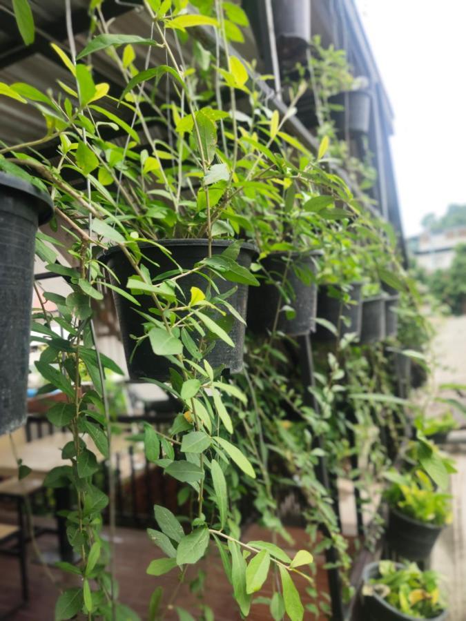 Nai Wiang Poshtel Hostel Τσιάνγκ Μάι Εξωτερικό φωτογραφία